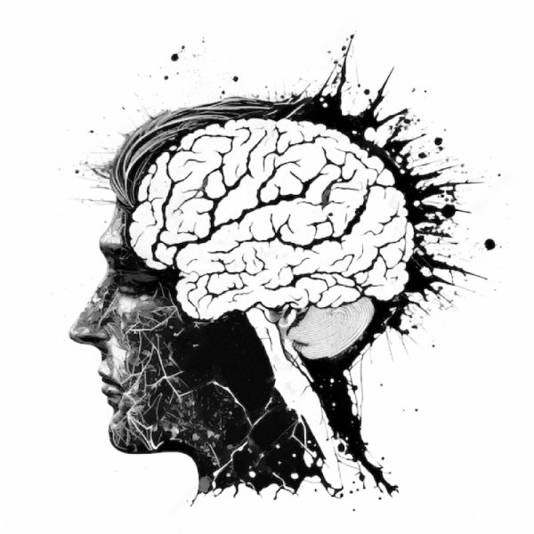 mente-consumidora.jpg mente-consumidora.jpg